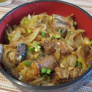 簡単＊サバ缶と玉ねぎのあんかけ丼